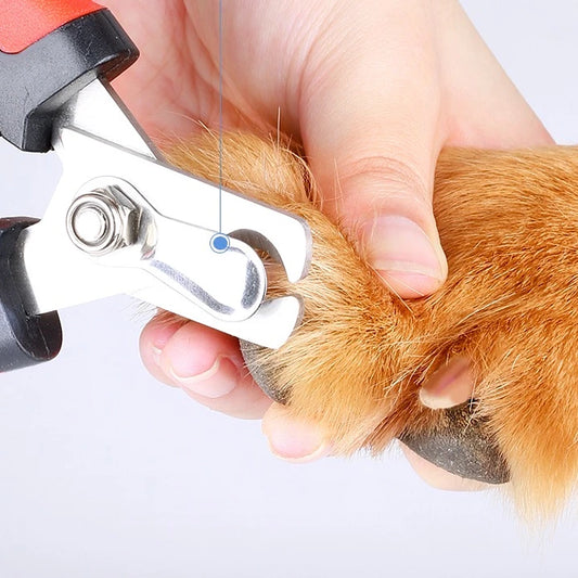 ✨ Kit de Aseo para Mascotas Profesional – Corta Pelo Fácil en Casa