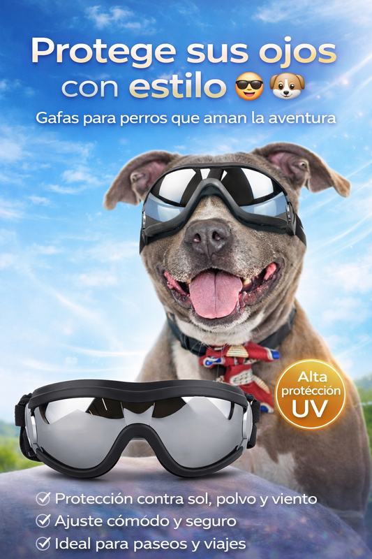 😎 Gafas UV para perros - protege sus ojos con Estilo