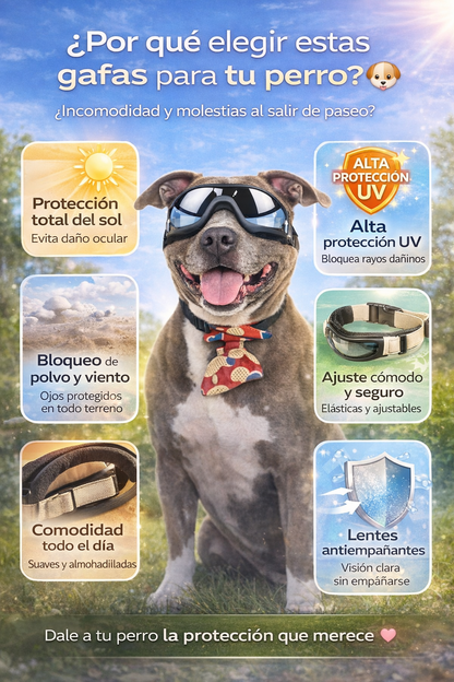 😎 Gafas UV para perros - protege sus ojos con Estilo